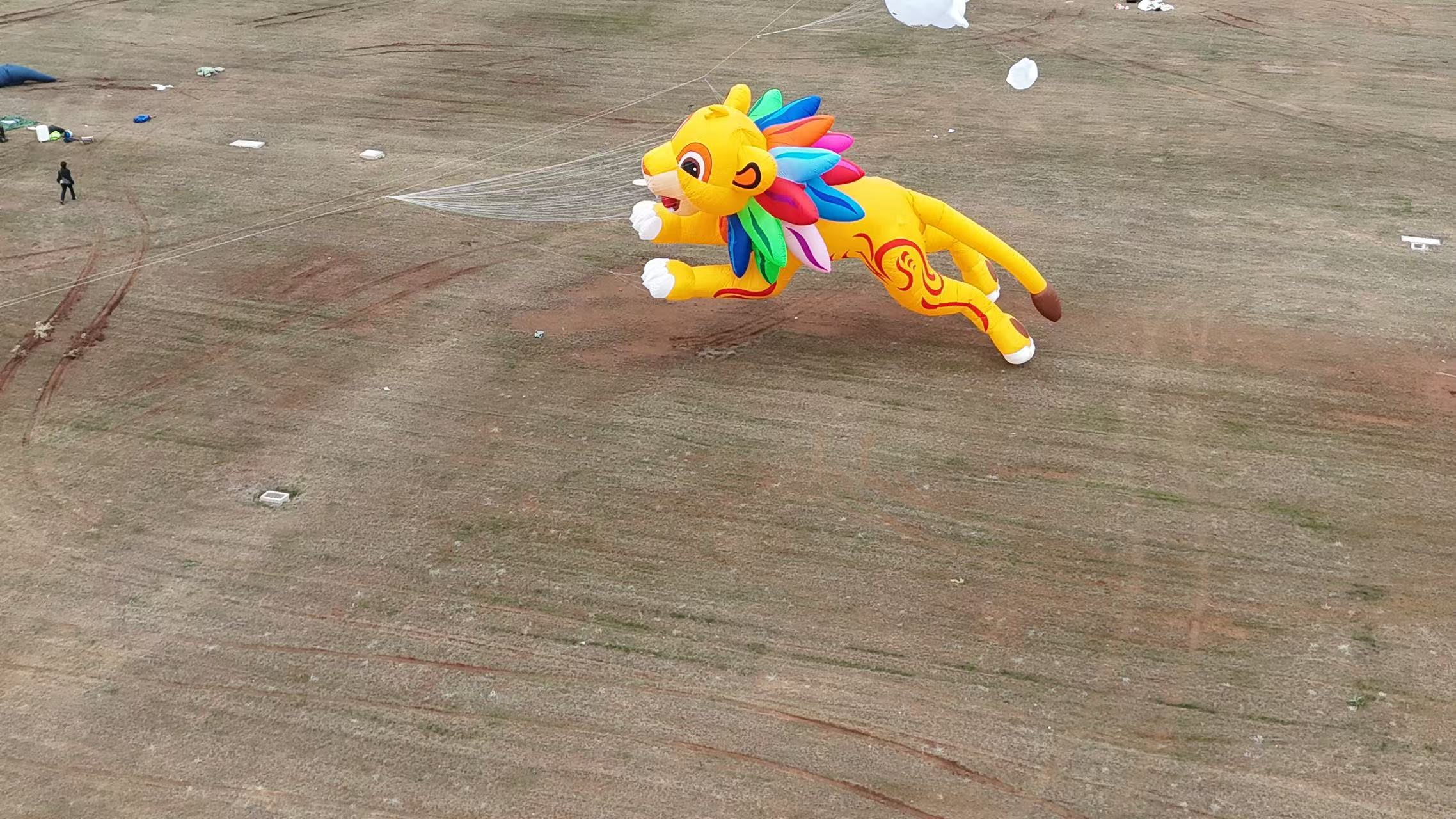 洛阳市品牌风筝定制风筝批发 - 方案