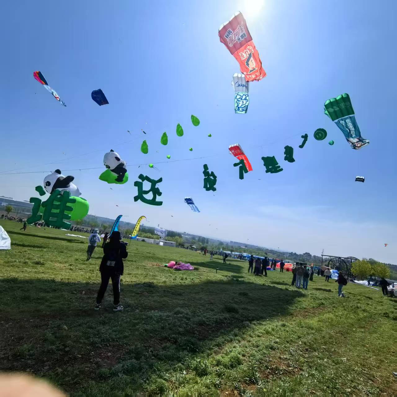 洛阳市风筝放飞活动策划风筝定制 - 哪里好